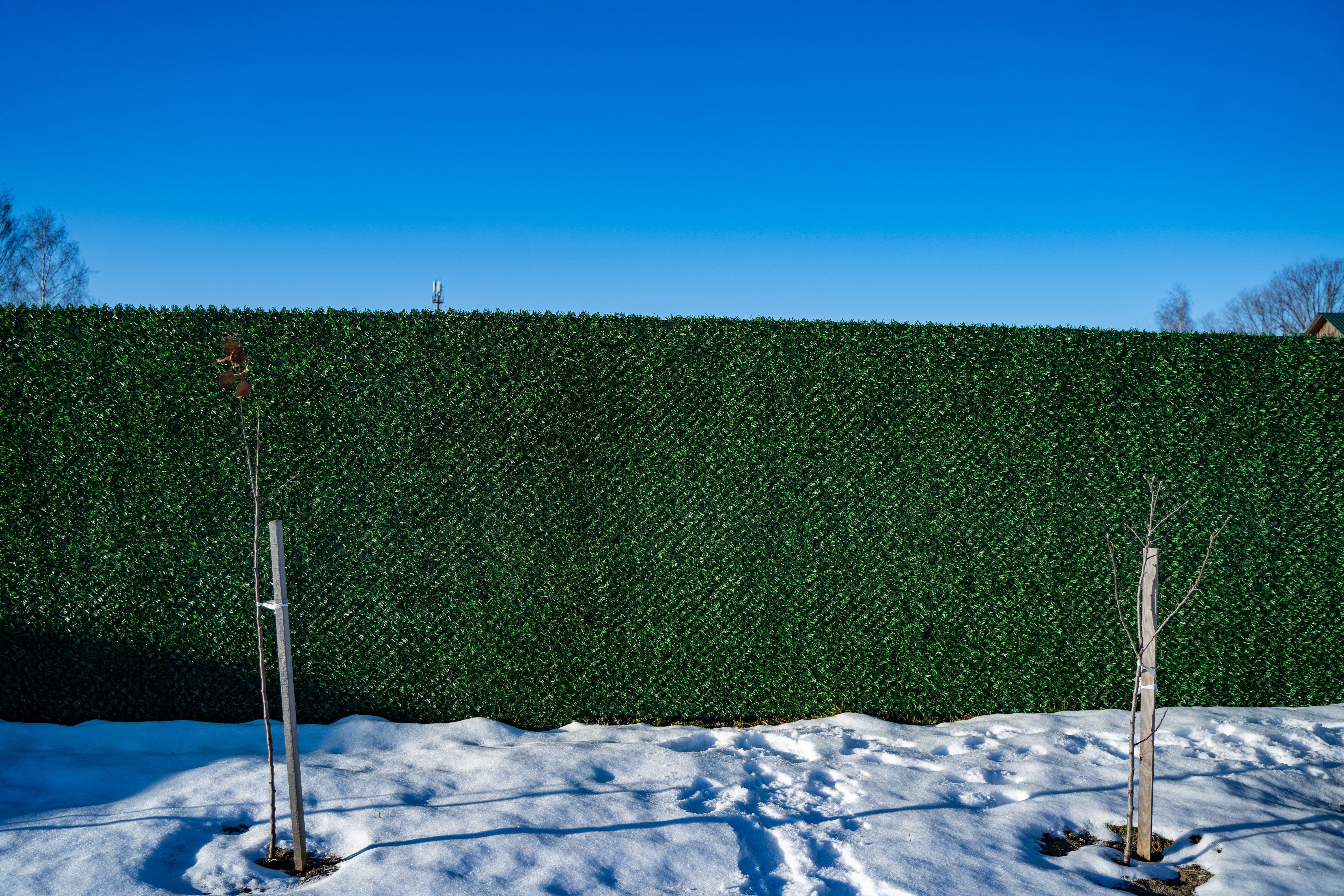 Вечнозеленый забор Grass Fence рулон 2м фото 8 в Петрозаводске
