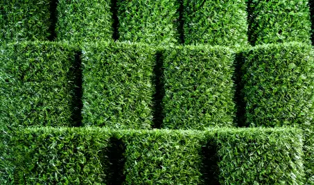Нужен бесплатный расчет забора Grass Fence из искусственной травы в Петрозаводске?